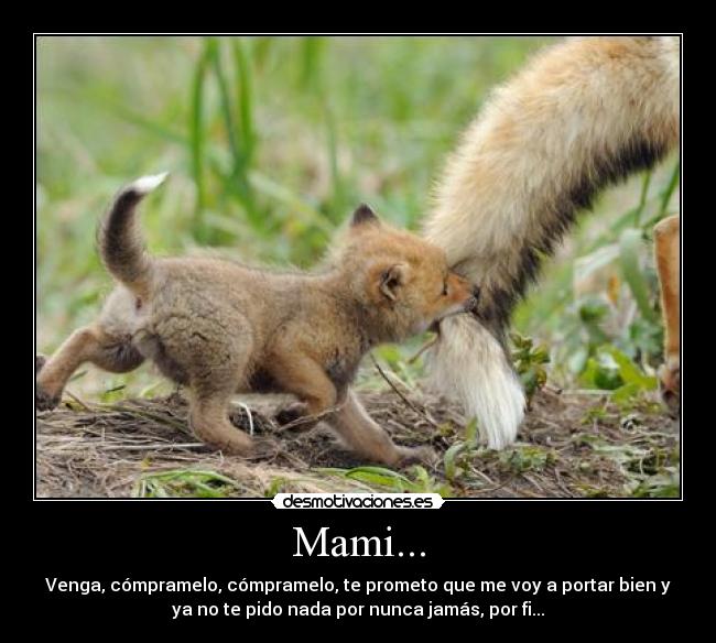 Mami... - 