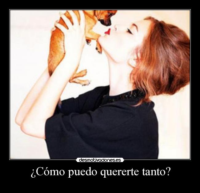 ¿Cómo puedo quererte tanto? - 