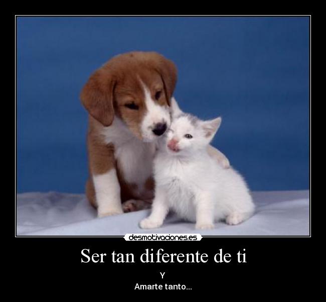 Ser tan diferente de ti - 