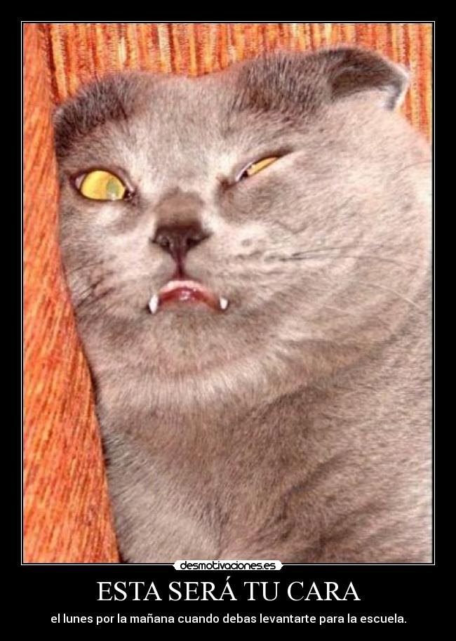 ESTA SERÁ TU CARA -