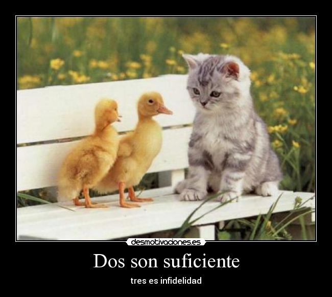 Dos son suficiente - tres es infidelidad