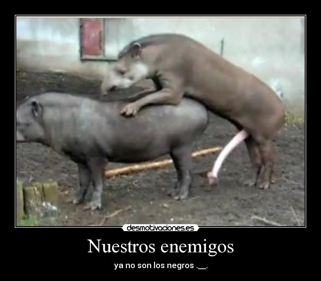 Nuestros enemigos - ya no son los negros .__.