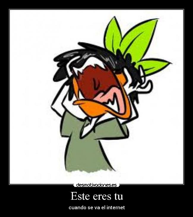 Este eres tu - cuando se va el internet