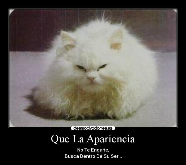 Que La Apariencia - No Te Engañe,
Busca Dentro De Su Ser...