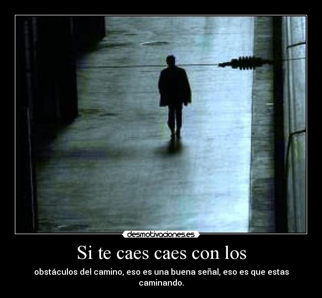 Si te caes caes con los - obstáculos del camino, eso es una buena señal, eso es que estas caminando.