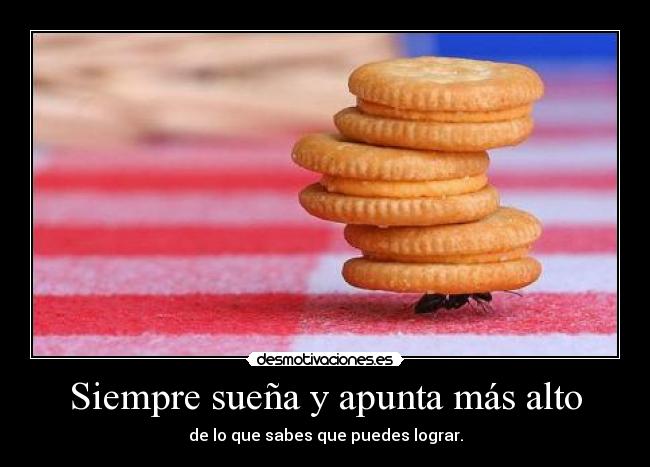Siempre sueña y apunta más alto - de lo que sabes que puedes lograr.