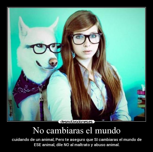 No cambiaras el mundo -