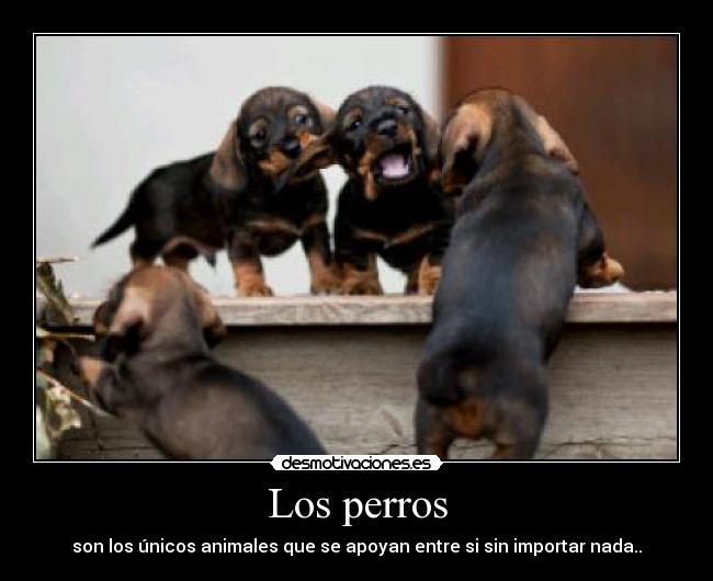 carteles francys zambrano desmotivaciones