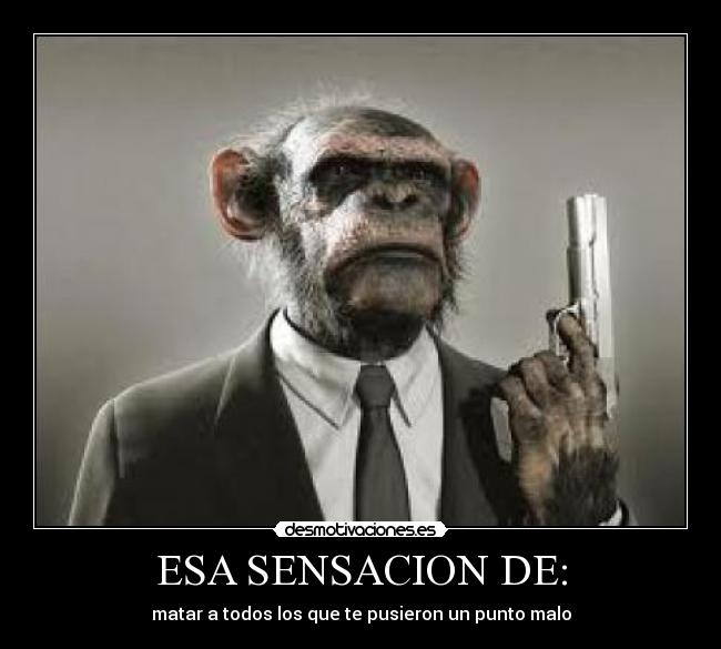 carteles esa sensacion matar todos los que tepusieron punto malo mono desmotivaciones