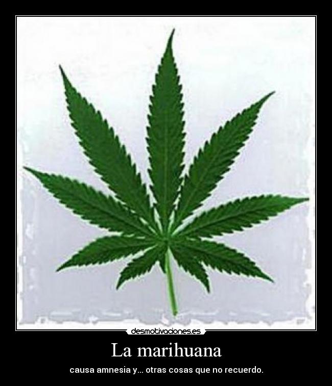 La marihuana - causa amnesia y... otras cosas que no recuerdo.