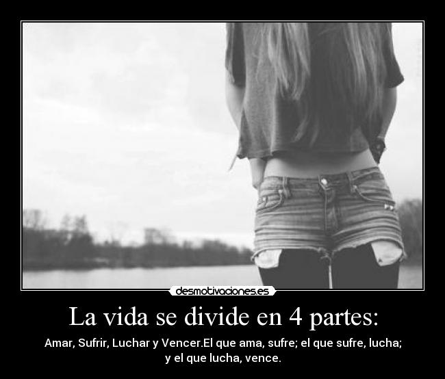 La vida se divide en 4 partes: -