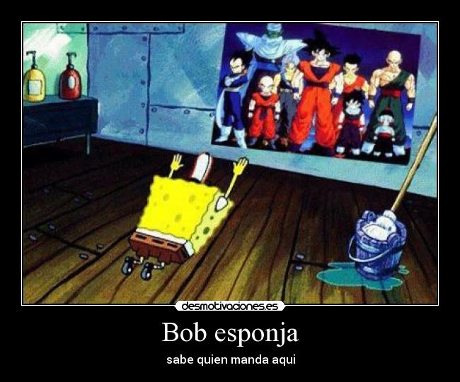 Bob esponja - sabe quien manda aqui