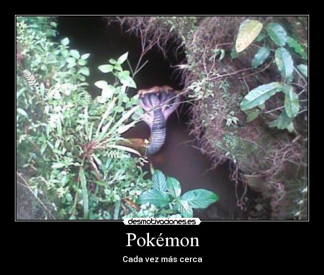 Pokémon - Cada vez más cerca