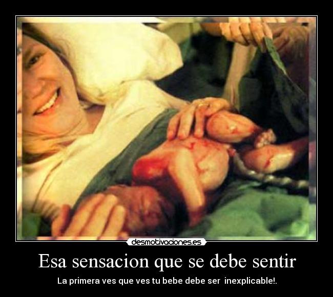 carteles emilixy desmotivaciones