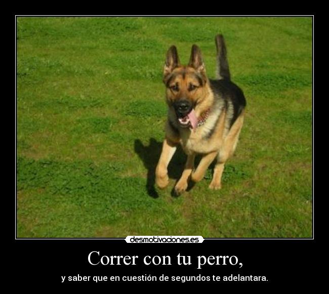 Correr con tu perro, - 