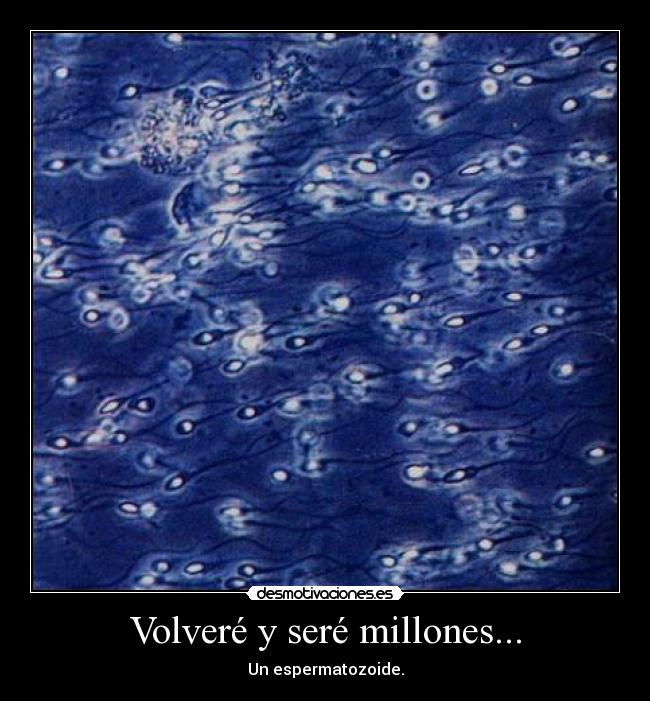 Volveré y seré millones... - Un espermatozoide.