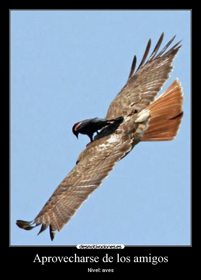 Aprovecharse de los amigos -