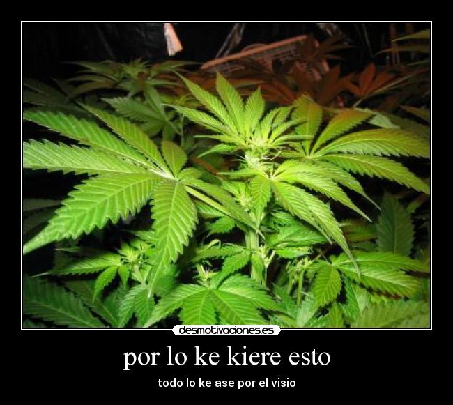 por lo ke kiere esto - 