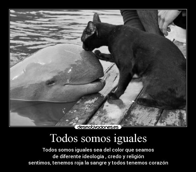 Todos somos iguales - Todos somos iguales sea del color que seamos
de diferente ideología , credo y religión
sentimos, tenemos roja la sangre y todos tenemos corazón
