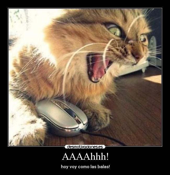 AAAAhhh! - hoy voy como las balas!