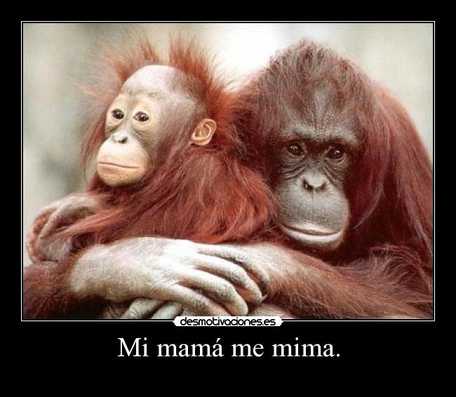Mi mamá me mima. - 