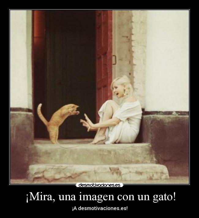 ¡Mira, una imagen con un gato! - ¡A desmotivaciones.es!