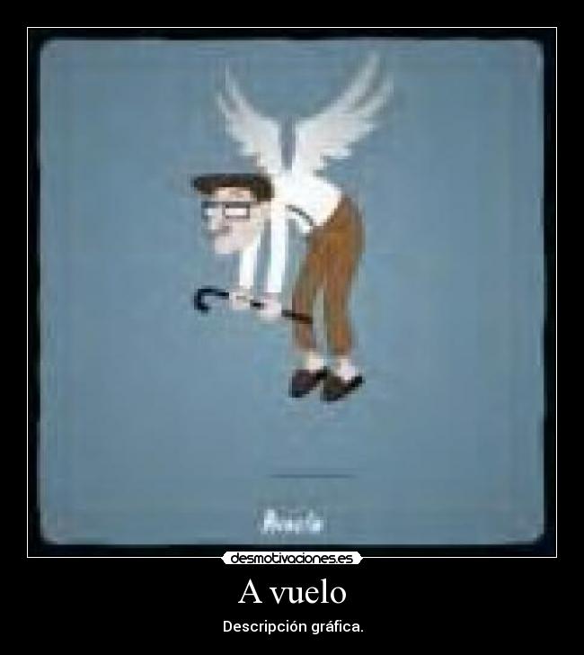 A vuelo - Descripción gráfica.