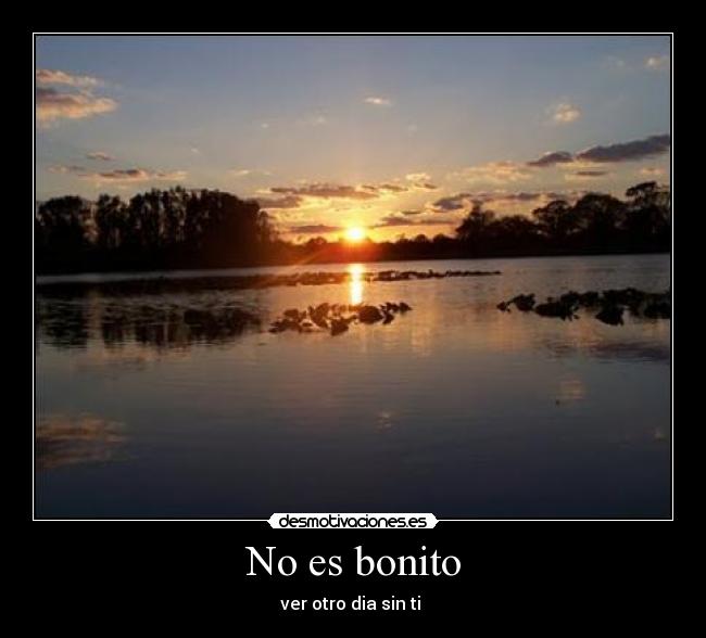 No es bonito - 