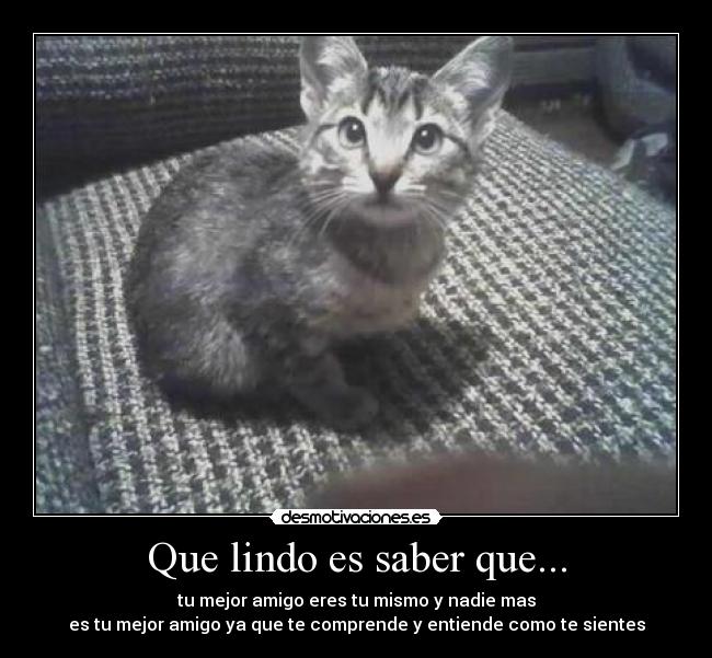 Que lindo es saber que... -