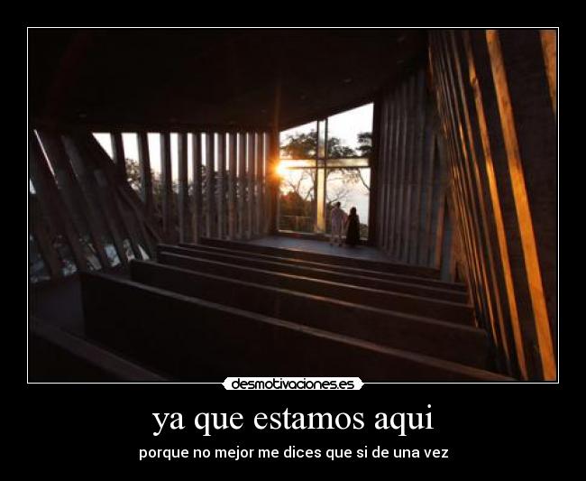 ya que estamos aqui - porque no mejor me dices que si de una vez