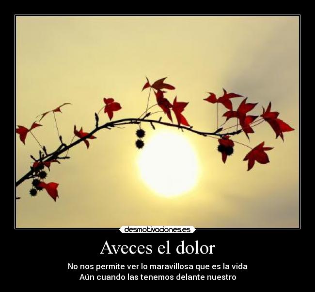 carteles dolor alinaa iara marisa elisabet robaldo alan fonzo desmotivaciones