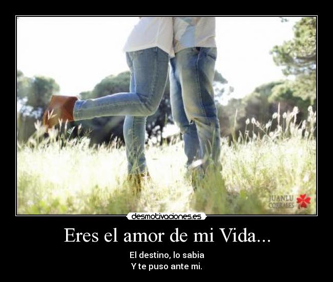 Eres el amor de mi Vida... - El destino, lo sabia
Y te puso ante mi.