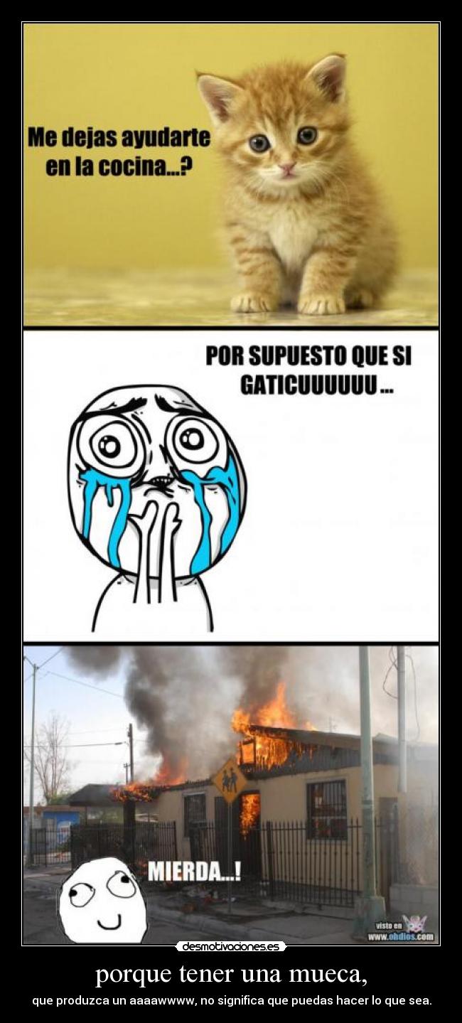 carteles aaaaaaawwwwwwwwwww que lindo gatito desmotivaciones