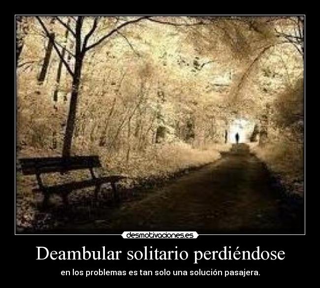 Deambular solitario perdiéndose - en los problemas es tan solo una solución pasajera.