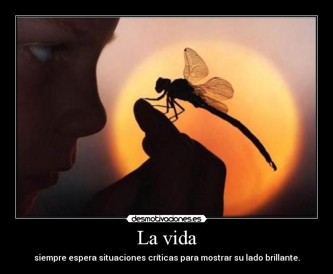 La vida -