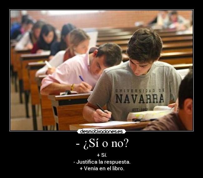 - ¿Sí o no? - 
