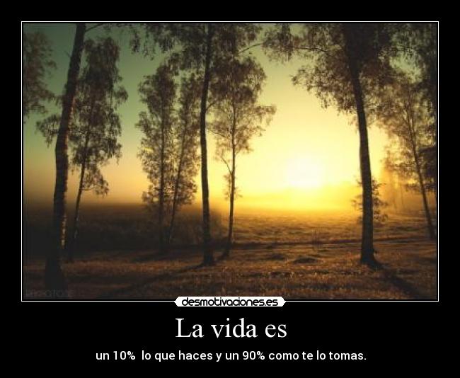 La vida es - un 10% lo que haces y un 90% como te lo tomas.