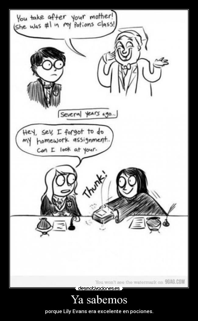 Ya sabemos - porque Lily Evans era excelente en pociones.
