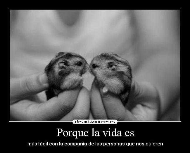 Porque la vida es - más fácil con la compañía de las personas que nos quieren