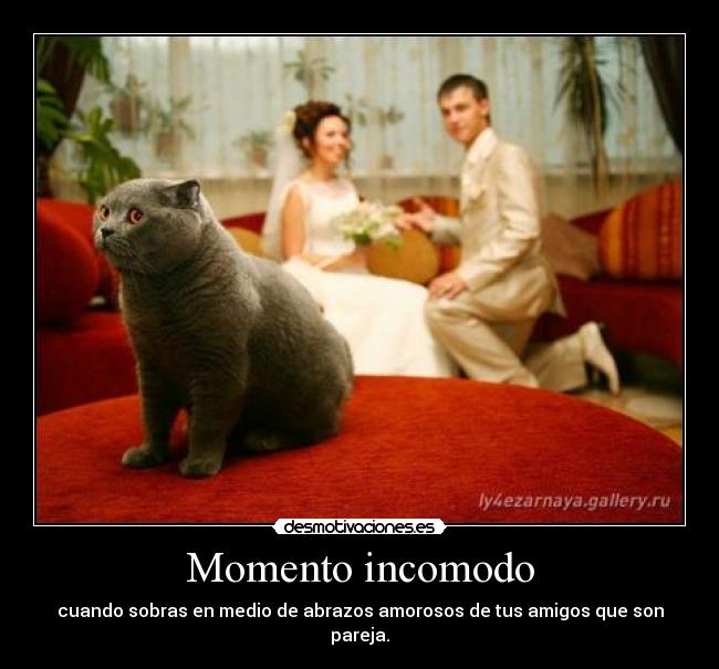 Momento incomodo - cuando sobras en medio de abrazos amorosos de tus amigos que son pareja.