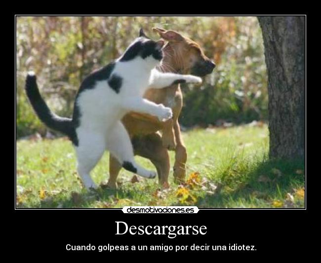 Descargarse -