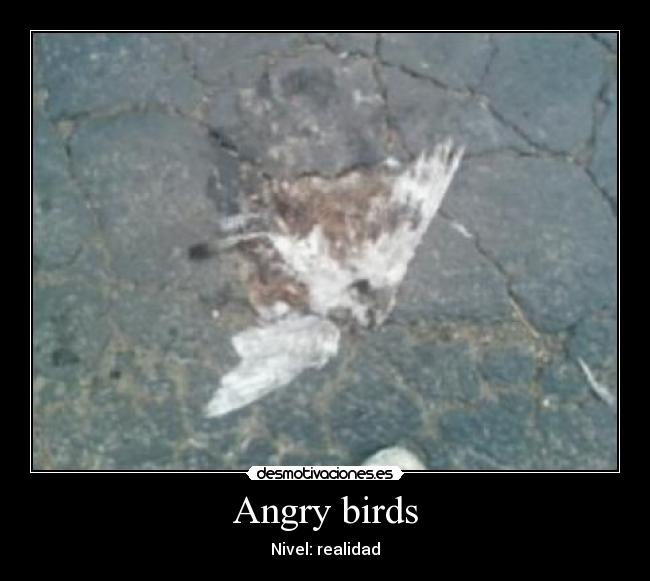 Angry birds - Nivel: realidad