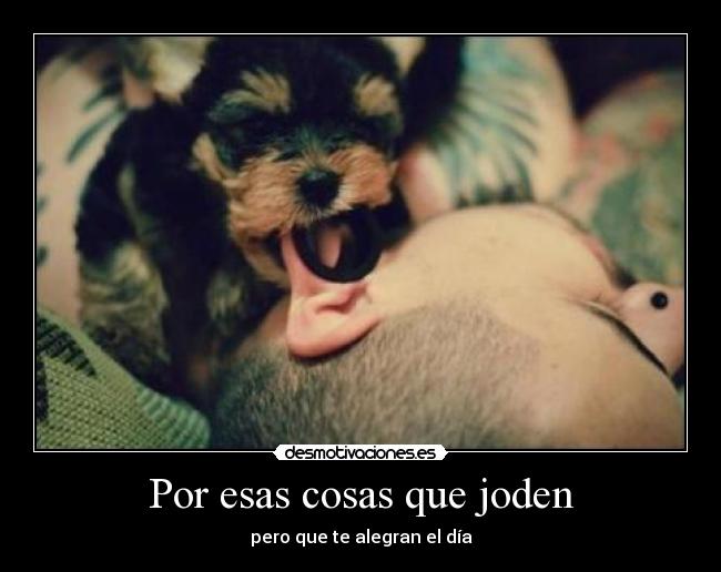 Por esas cosas que joden - pero que te alegran el día