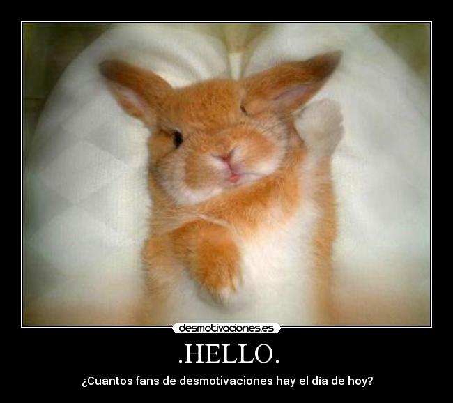 .HELLO. - ¿Cuantos fans de desmotivaciones hay el día de hoy?