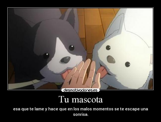 Tu mascota - esa que te lame y hace que en los malos momentos se te escape una sonrisa.