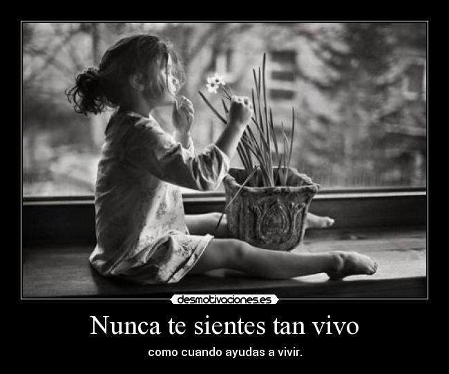 Nunca te sientes tan vivo - 