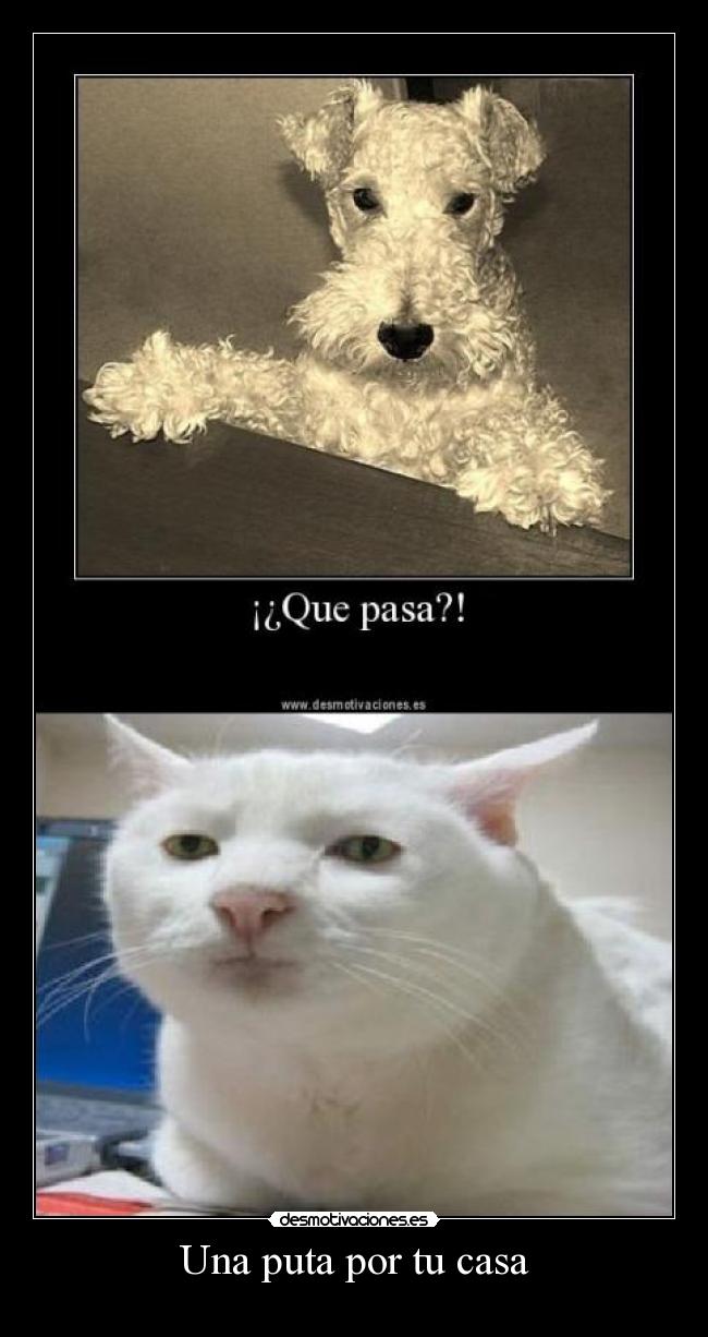 carteles casa problem cartel cerealguy desmotivaciones