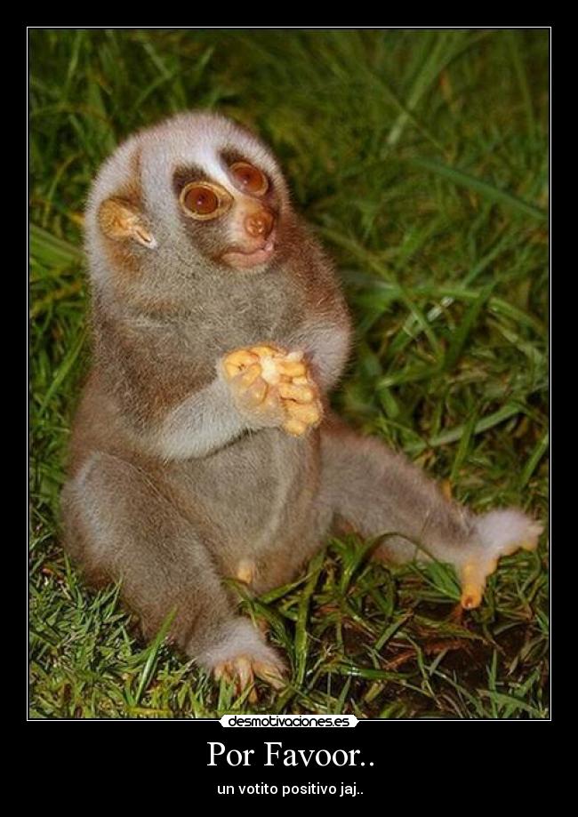Por Favoor.. -