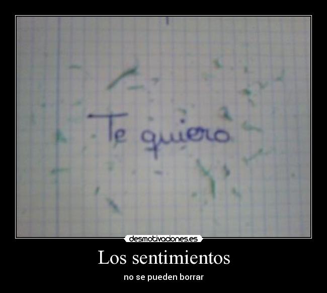Los sentimientos - 