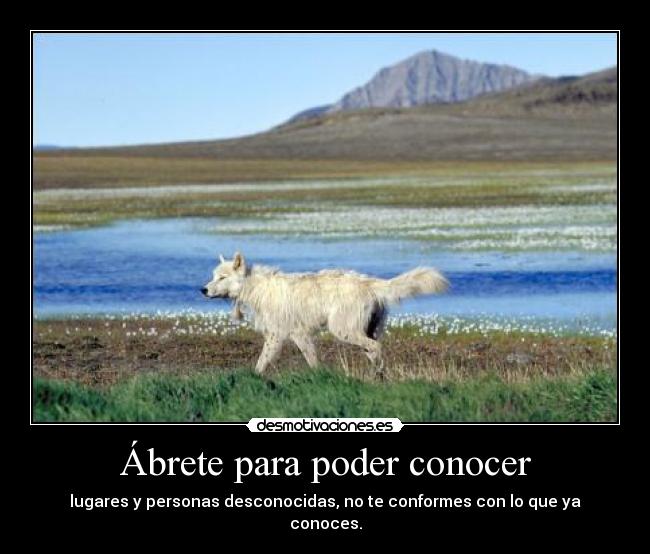 carteles consigue cosas nuevas familia desmotivaciones